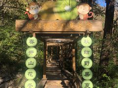-大岭沟猕猴桃谷风景区