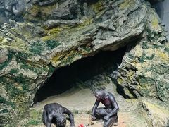 -北京周口店北京人遗址博物馆