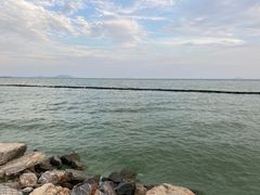 -合肥滨湖国家森林公园