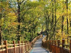 -万信至格酒店(成都欢乐谷金府地铁站店)