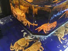 -蟹道乐(網元別館店)