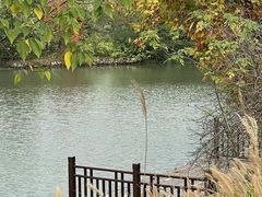 -良渚古城遗址公园