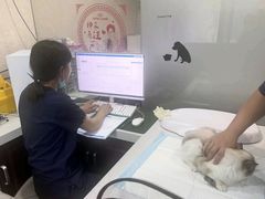 -思琪宠物医院(昆山花桥店)