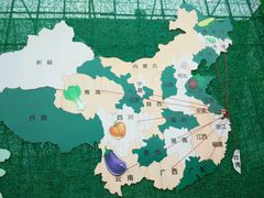 -上海都市菜园