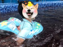 -广州融创水世界