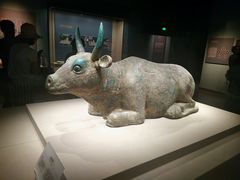 -宁夏博物馆