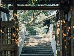 -乌镇景区