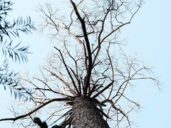 -东南悬空寺方广岩