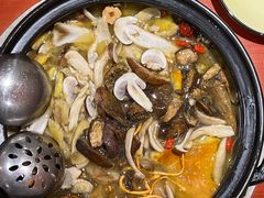 -菌之家·专业纯野生菌火锅·特色炒菌