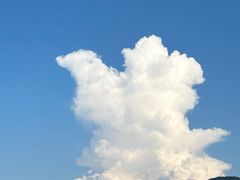 -秦始皇帝陵博物院(兵马俑)