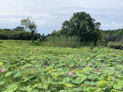 -宜兴龙背山森林公园