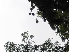 -天河儿童公园