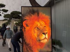 -罗红摄影艺术馆