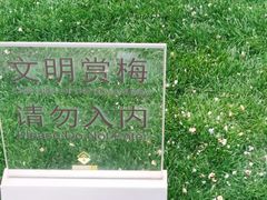 -静安雕塑公园