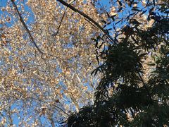 -春晖园度假酒店温泉