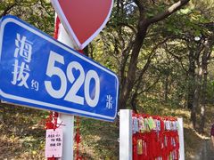 -香山公园