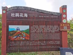 -大围山国家森林公园