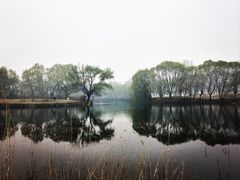 -长白岛森林公园