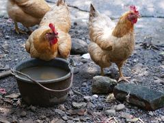 -途中饭店(开化店)