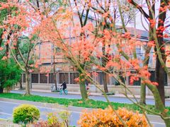 -望江楼公园