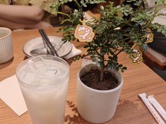 -CURRY YA 熟成咖哩專門店(深圳湾万象城店)