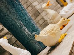 -京味斋·北京烤鸭(北京南站洋桥店)
