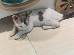 -上海尚嘉中心