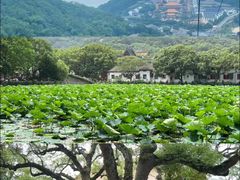 -东极岛景区