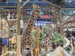 -卡通尼·Safari非洲探索乐园·生日会(金桥国际商业广场店)
