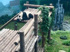 -大连森林动物园