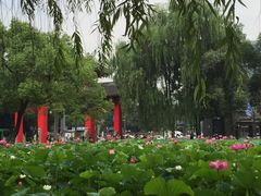 -四川大学(望江校区)