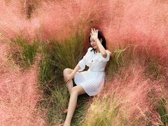 -汉长安城未央宫国家考古遗址公园