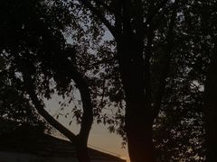 -火炉山森林公园