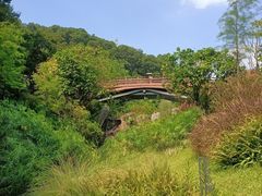 -云溪植物园