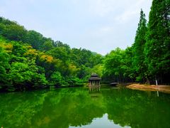 -狼牙山风景区