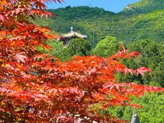 -红螺寺