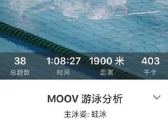 -重庆市奥林匹克体育中心-游泳跳水馆