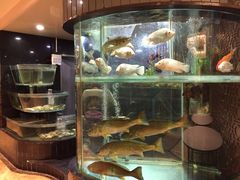 -稻香酒家·33年老字号·港式粤菜(富邦中心店)