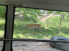 -西安秦岭野生动物园