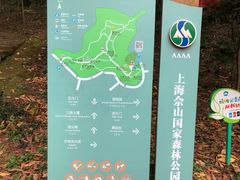 -上海佘山国家森林公园天马山园