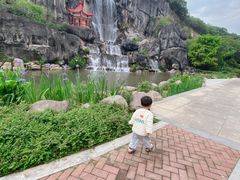 -金鸡山公园