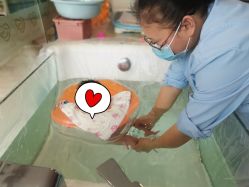 点击看大图 -裕月馨月子中心(滨江店)