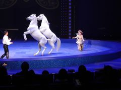 -珠海横琴长隆《卡卡虎奇遇记》