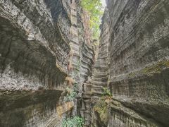 -梭布垭石林景区