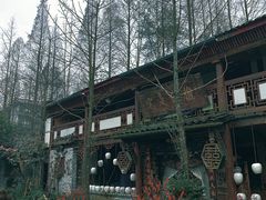 -青城甲(青城山店)