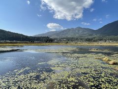 -腾冲北海湿地