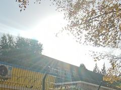 -三里屯东五街银杏大道