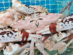 -范饭椰林川湘味海鲜·椰子鸡(三亚湾椰梦长廊店)