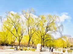 -莲花池公园