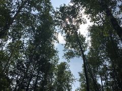 -峡谷浮石林景区